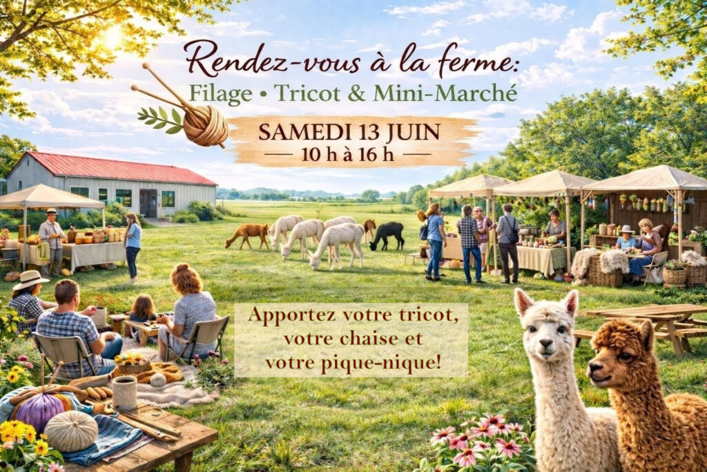 Journée mondiale du tricot en public: 13 juin 2026. Affiche promotionnelle pour le Rendez-vous à la ferme: Filage, Tricot et Mini-Marché. C'est un décor champêtre, on y voit des alpagas, des kiosques et des personnes qui tricotent, discutent, visitent les kiosques (image générée par IA)