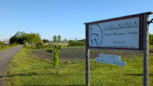 Entrée de la ferme, à partir du boulevard l'Heureux à Beloeil. Les alpagas et les bâtiments se trouvent plus loin sur le chemin.