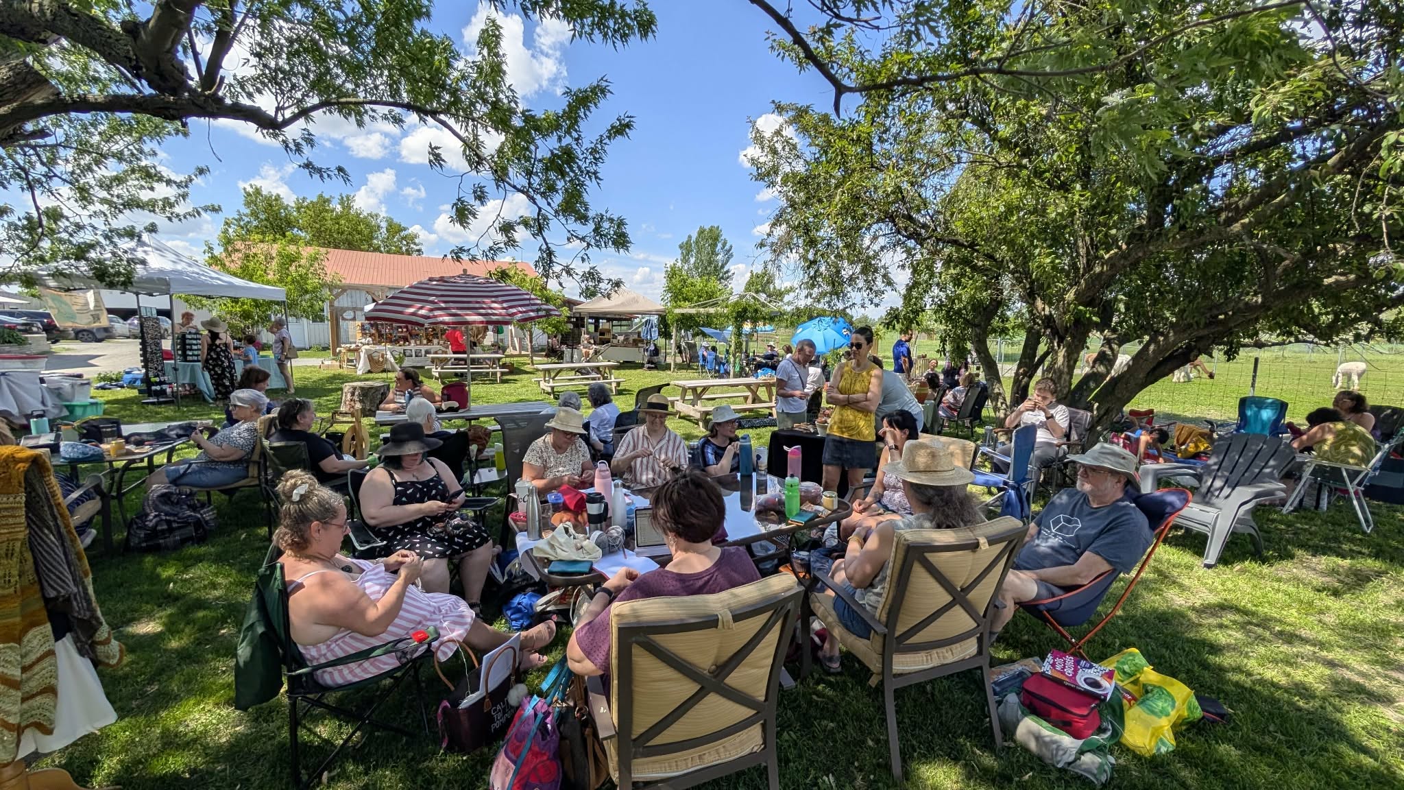 Journée de tricot et filage en plein air chez La vie en alpaga, Beloeil